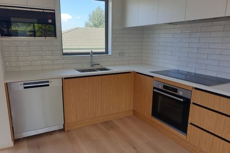 Photo of property in 48d Lyttelton Avenue, Forrest Hill, Auckland, 0620