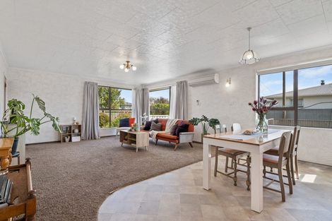 Photo of property in 147a Howick Road, Witherlea, Blenheim, 7201
