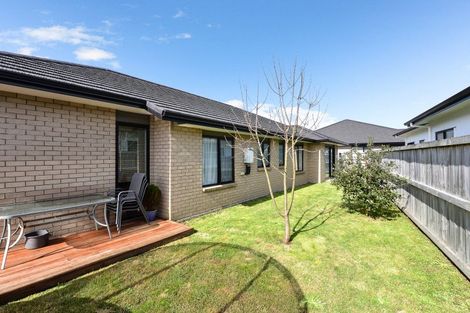 Photo of property in 13 Maggie Place, Chartwell, Hamilton, 3210