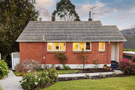 Photo of property in 17 Lowe Street, Liberton, Dunedin, 9010
