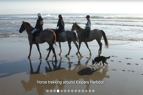 Photo of property in 18 Minerva Avenue, Helensville, 0800