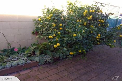 Photo of property in 61 Murray Avenue, Hawera, 4610