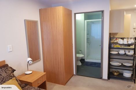Photo of property in Dual Apartments, 108/142u Vivian Street, Te Aro, Wellington, 6011