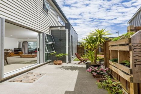 Photo of property in 41 Liquidambar Drive, Hobsonville, Auckland, 0616