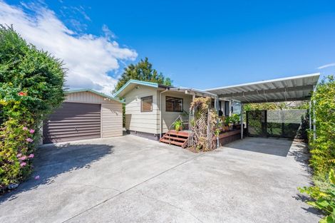 Photo of property in 1010b Rata Street, Mahora, Hastings, 4120