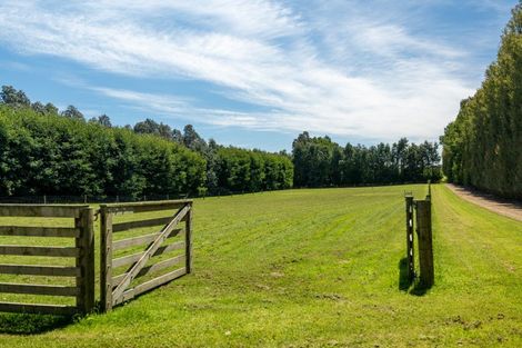 Photo of property in 459 Flora East, Makarewa, Invercargill, 9876