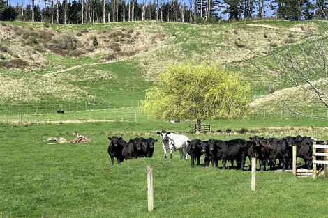 Photo of property in 3005 State Highway 30, Rotoma, Whakatane, 3192