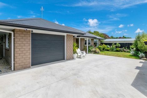 Photo of property in 3a Graham Street, Levin, 5510
