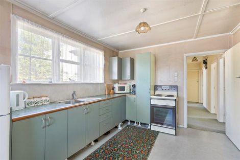 Photo of property in 54 Domett Street, Westport, 7825