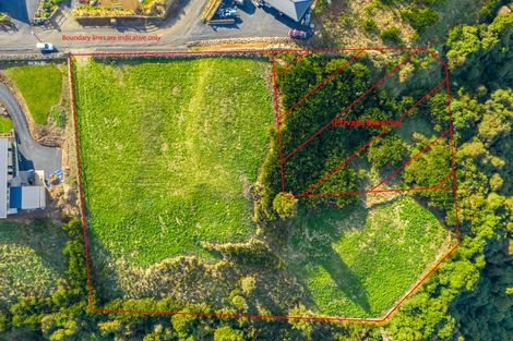 Photo of property in 12 Macleod Avenue, Halfway Bush, Dunedin, 9010