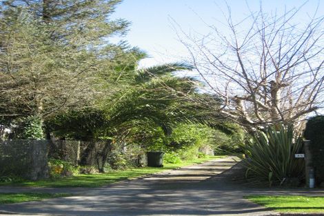 Photo of property in 85 Queenwood Road, Levin, 5510