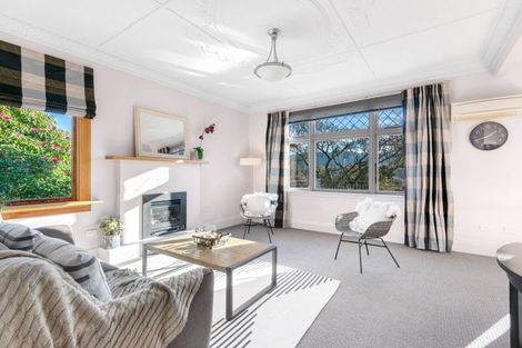 Photo of property in 113 Signal Hill Road, Opoho, Dunedin, 9010