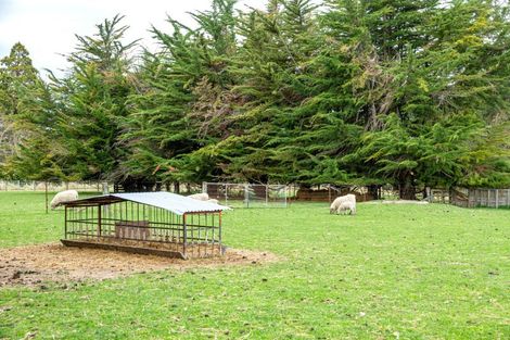 Photo of property in 302 Beaconsfield Road, Fairview, Timaru, 7972