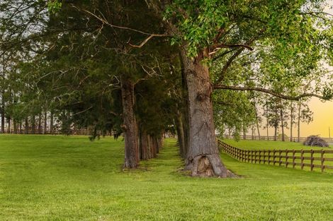 Photo of property in 713 Ararimu Valley Road, Helensville, 0882