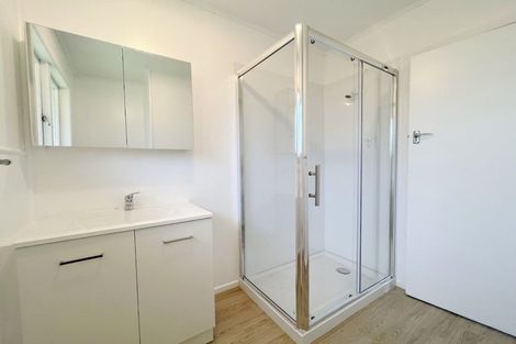 Photo of property in 47a Galloway Street, Hamilton East, Hamilton, 3216