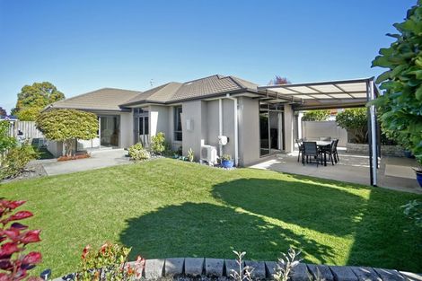 Photo of property in 20c Moehau Street, Te Puke, 3119