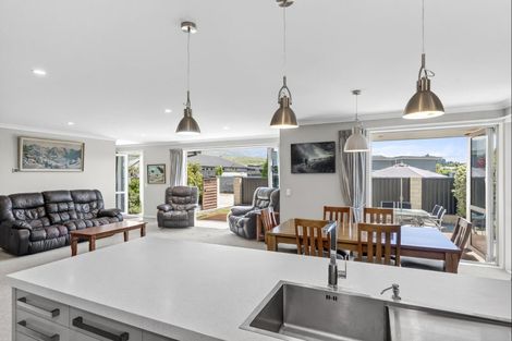 Photo of property in 8 Excelsior Place, Cromwell, 9310