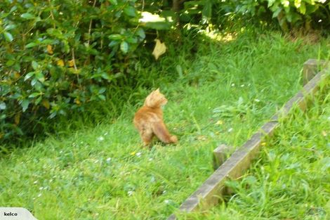 Photo of property in 54 Thompson Street, Mount Cook, Wellington, 6011