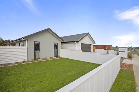 Photo of property in 114 Churcher Street, Feilding, 4702