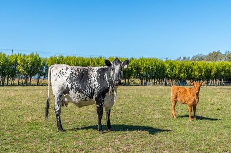 Photo of property in 645 Tancreds Road, Lincoln, Christchurch, 7676