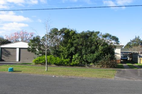 Photo of property in 40 Hobson Street, Maeroa, Hamilton, 3200