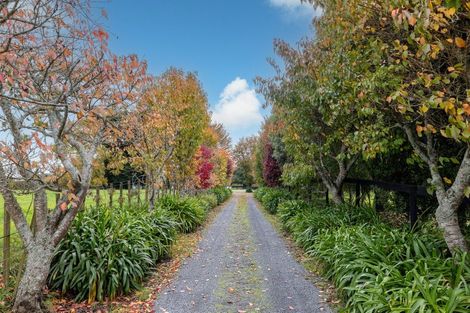 Photo of property in 204 Racecourse Road, Cambridge, 3493