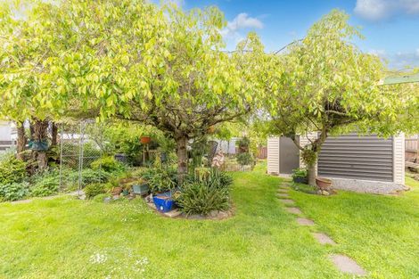 Photo of property in 490 Park Road, Te Awamutu, 3800