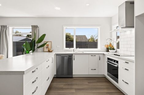 Photo of property in 173 Nikau Street, Saint Leonards, Hastings, 4120