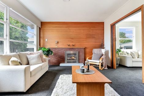 Photo of property in 12 Carlyle Avenue, Chartwell, Hamilton, 3210