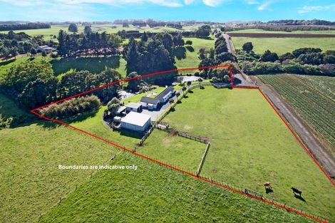 Photo of property in 110 Farmpark Road, Waiuku, 2681