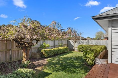 Photo of property in 3 Haslett Place, Upper Riccarton, Christchurch, 8041