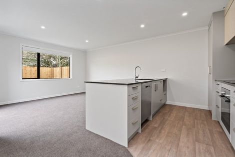 Photo of property in 18u8 Mahoe Street, Melville, Hamilton, 3206