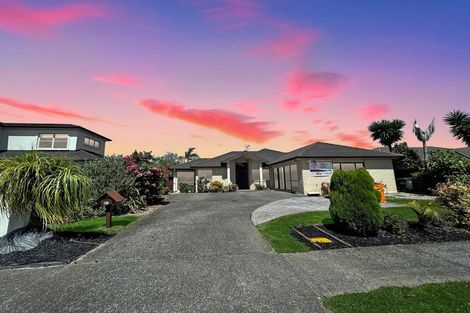 Photo of property in 311 Chapel Road, Flat Bush, Auckland, 2016