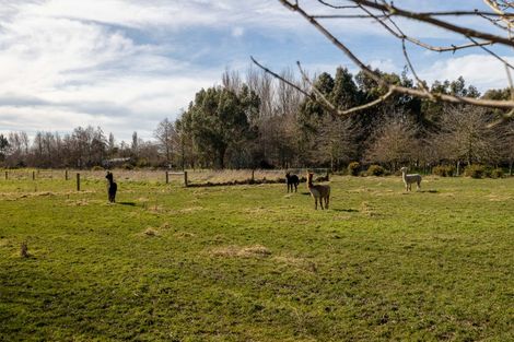 Photo of property in 434 Collins Road, Springston, Christchurch, 7674