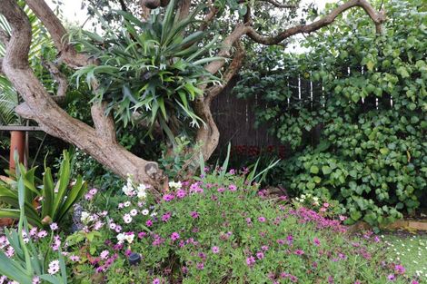 Photo of property in 120 Queen Street, Thames, 3500
