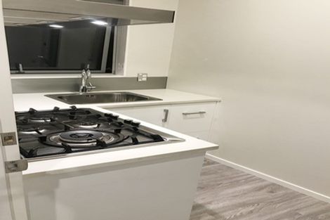 Photo of property in 32 Drumbuoy Drive, Flat Bush, Auckland, 2019