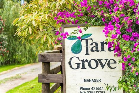 Photo of property in 381 Tara Road, Mangawhai, 0573