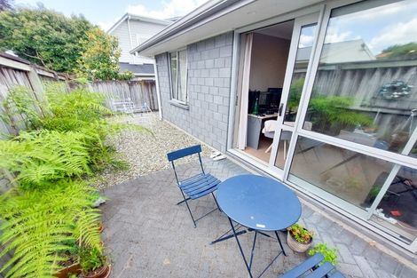 Photo of property in 3u2 Edgecumbe Street, Whitiora, Hamilton, 3200