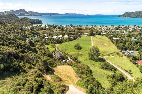 Photo of property in 925a Purangi Road, Cooks Beach, Whitianga, 3591
