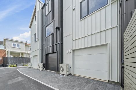 Photo of property in 25b Thompson Street, Mount Cook, Wellington, 6011
