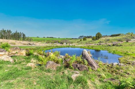 Photo of property in 217 Wiroa Road, Kerikeri, 0293