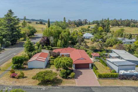 Photo of property in 41 Domain Road, Waipawa, 4210