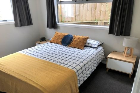 Photo of property in 16u7 Hammond Street, Hamilton Central, Hamilton, 3204