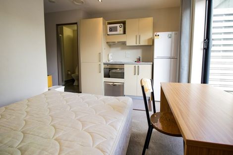 Photo of property in Dual Apartments, 108/142u Vivian Street, Te Aro, Wellington, 6011