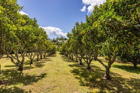 Photo of property in 17 Poplar Lane, Kerikeri, 0293