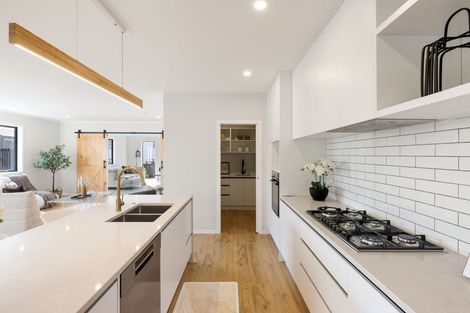 Photo of property in 13 Musselwhite Terrace, Chartwell, 3210