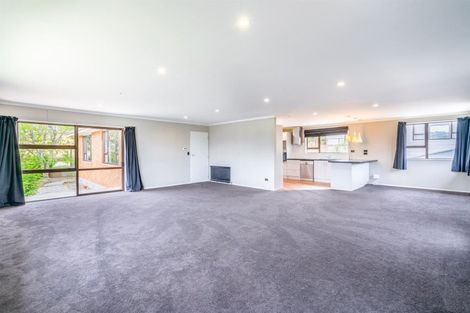 Photo of property in 19 Talbot Street, East Gore, Gore, 9710