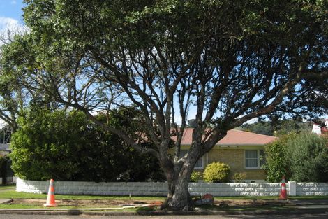 Photo of property in 45 Mcgarvey Road, Whakatane, 3120