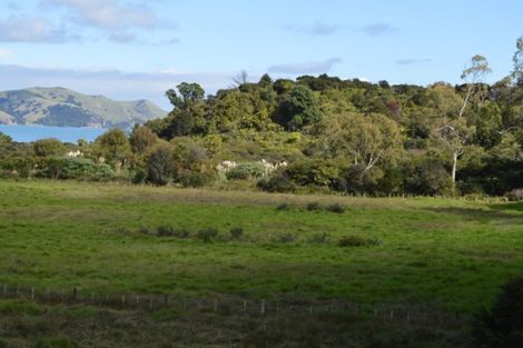 Photo of property in 2328 Tiki Sh25 Road, Preece Point, Coromandel, 3506