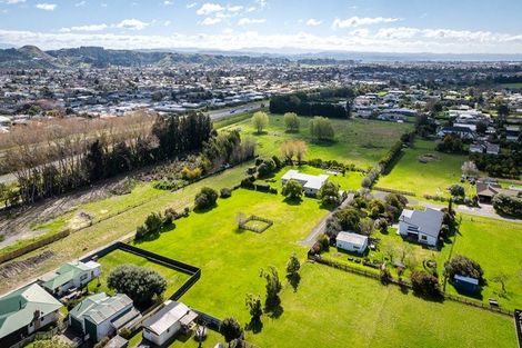Photo of property in 7b Gordon Street, Jervoistown, Napier, 4112